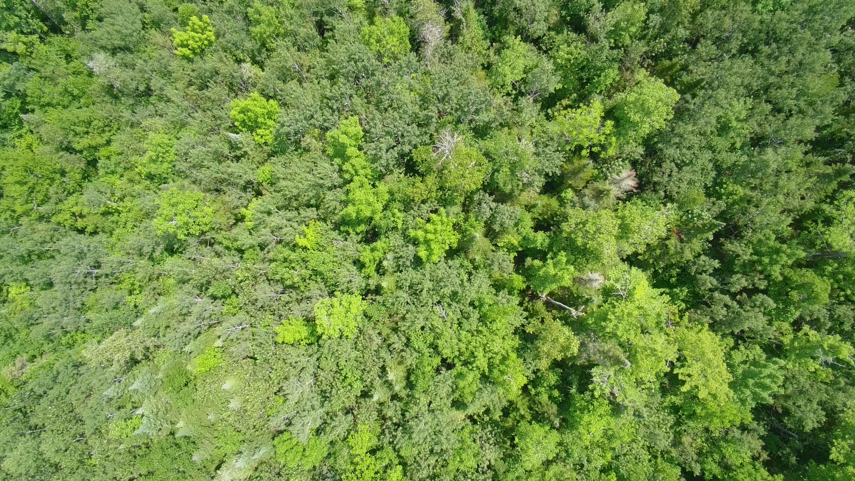 Tbd Trafton Road Property Photo 3