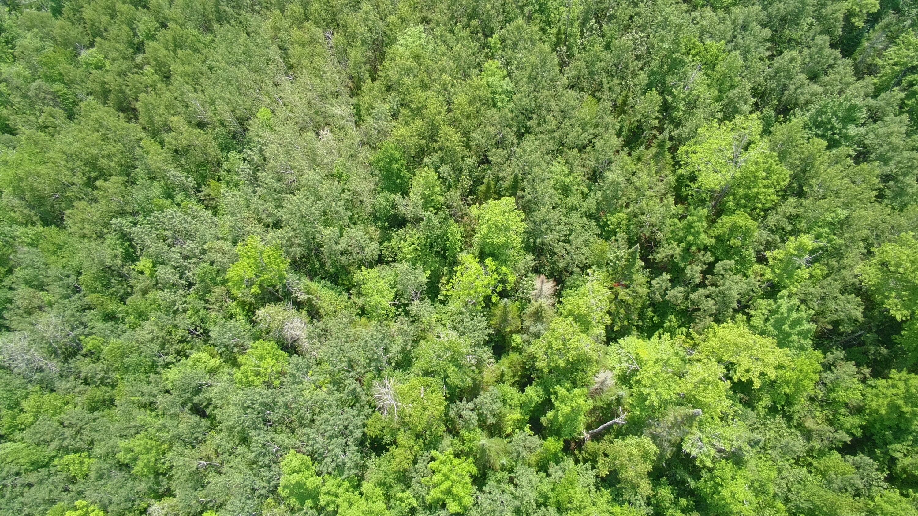 Tbd Trafton Road Property Photo 4