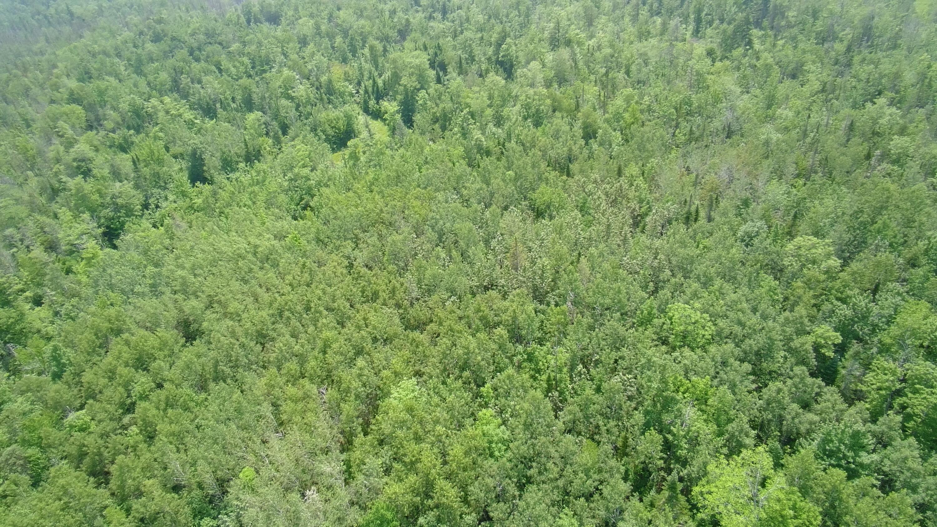 Tbd Trafton Road Property Photo 5