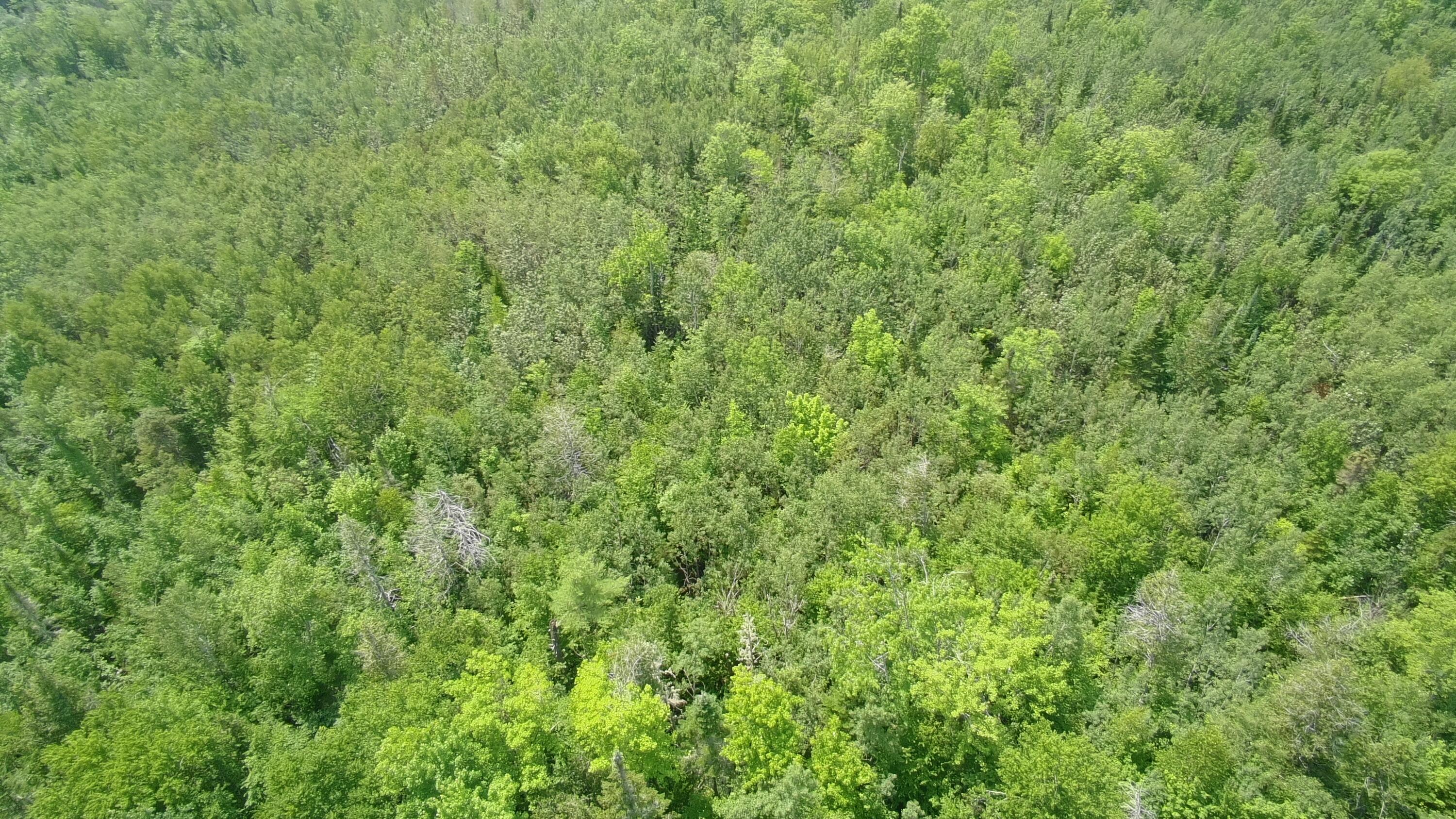 Tbd Trafton Road Property Photo 6
