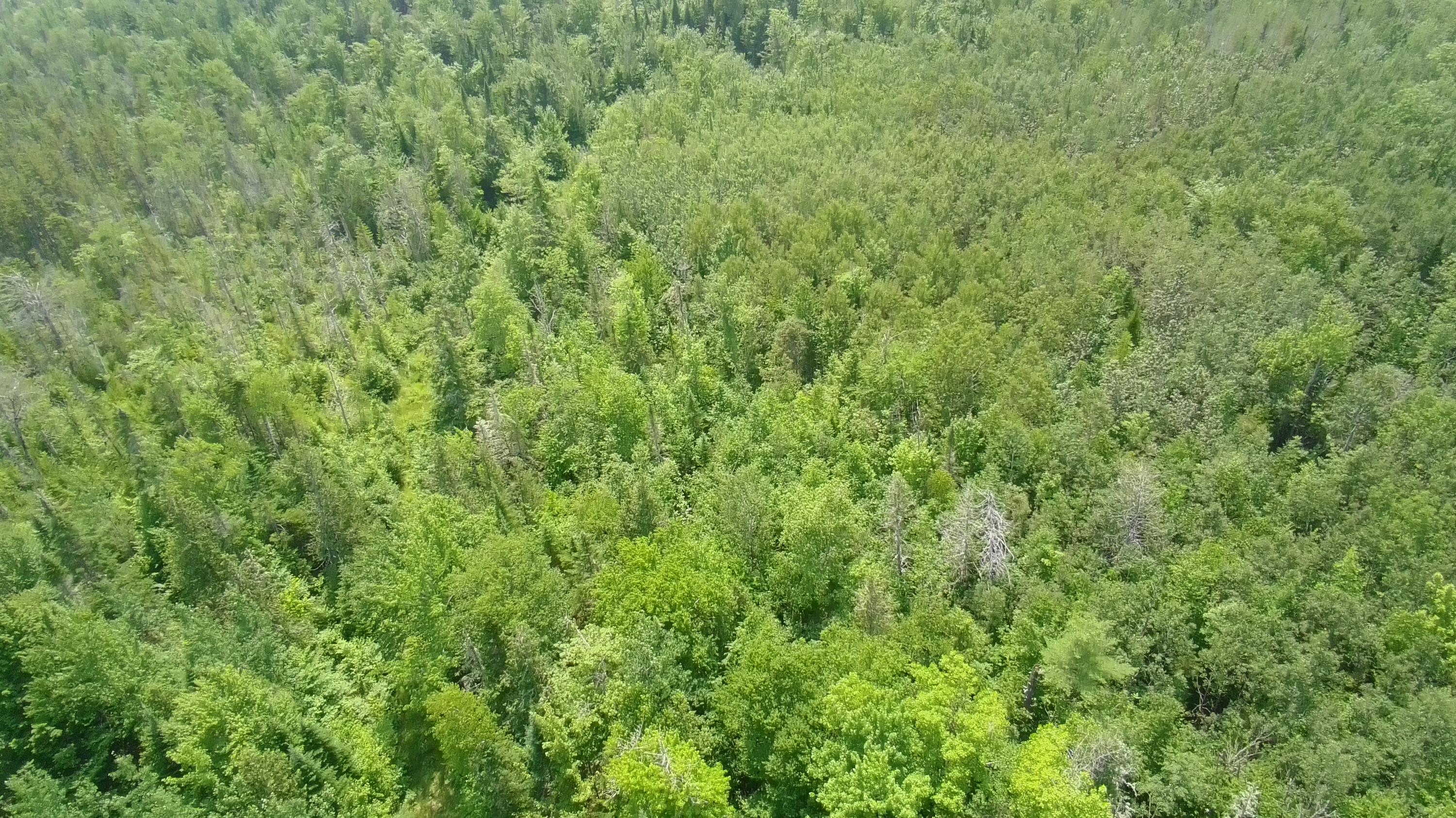Tbd Trafton Road Property Photo 7