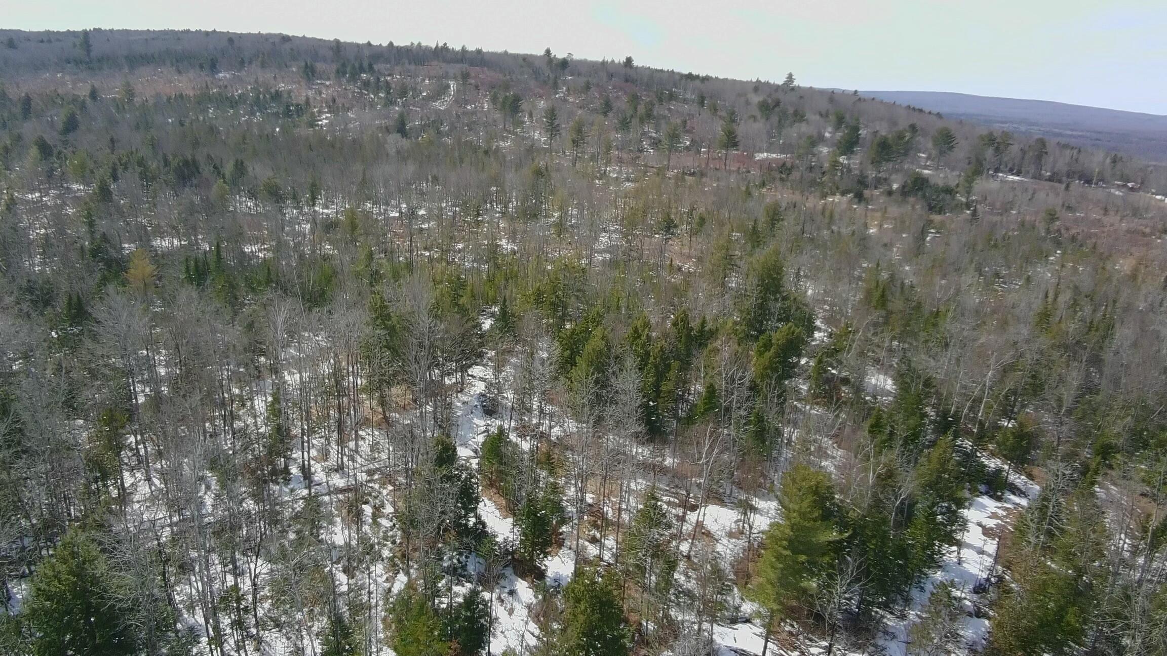 Tbd Trafton Road Property Photo 10