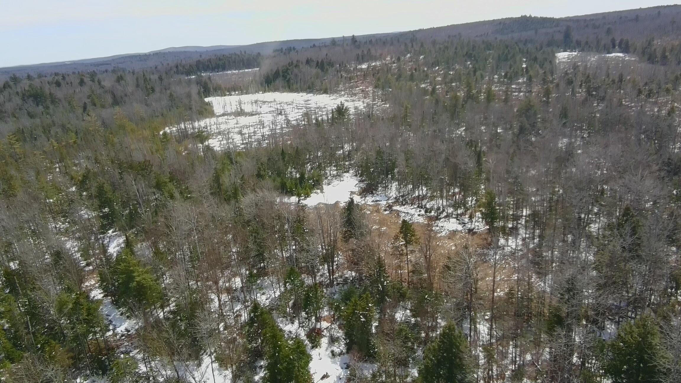 Tbd Trafton Road Property Photo 12
