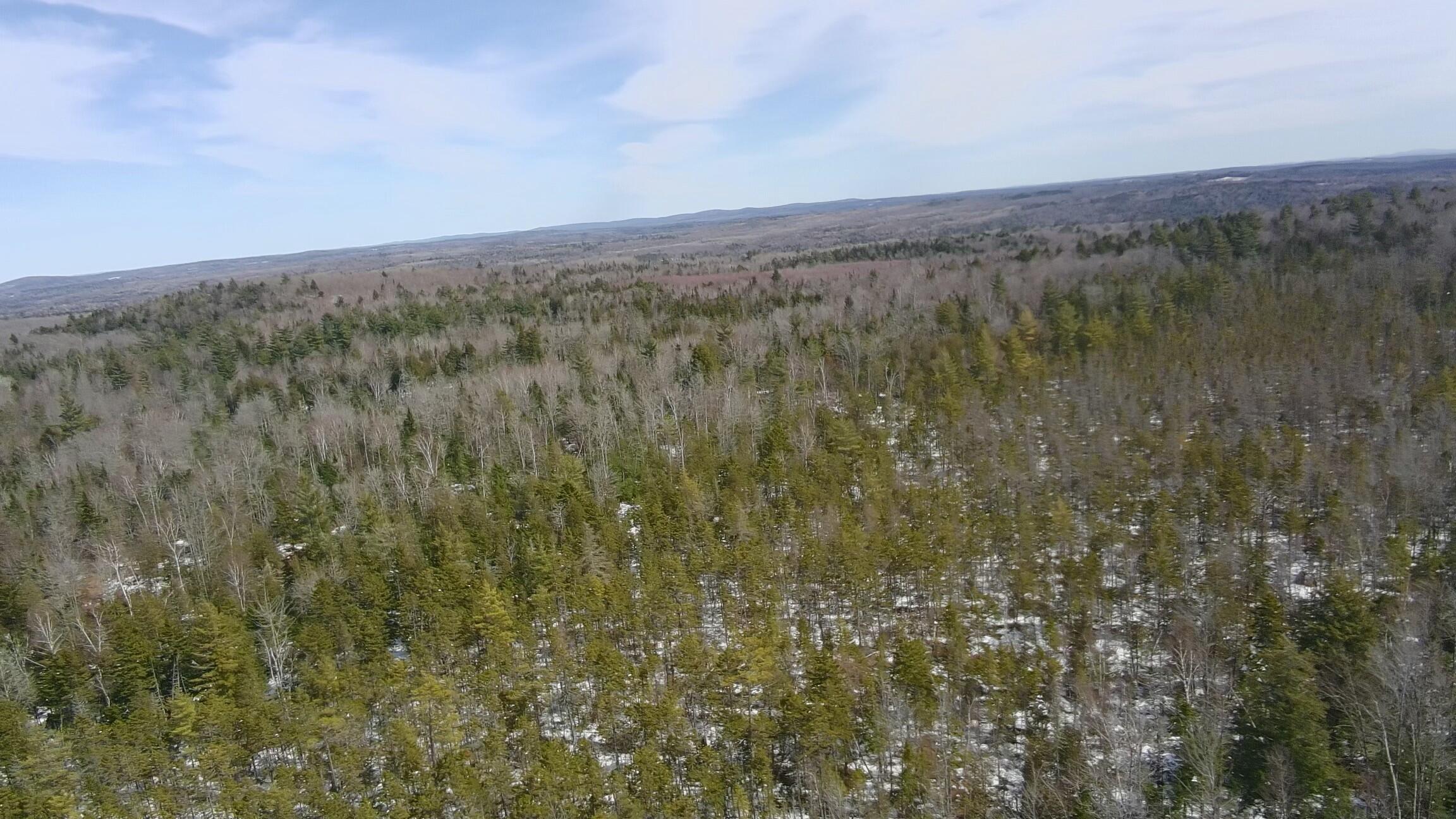 Tbd Trafton Road Property Photo 14