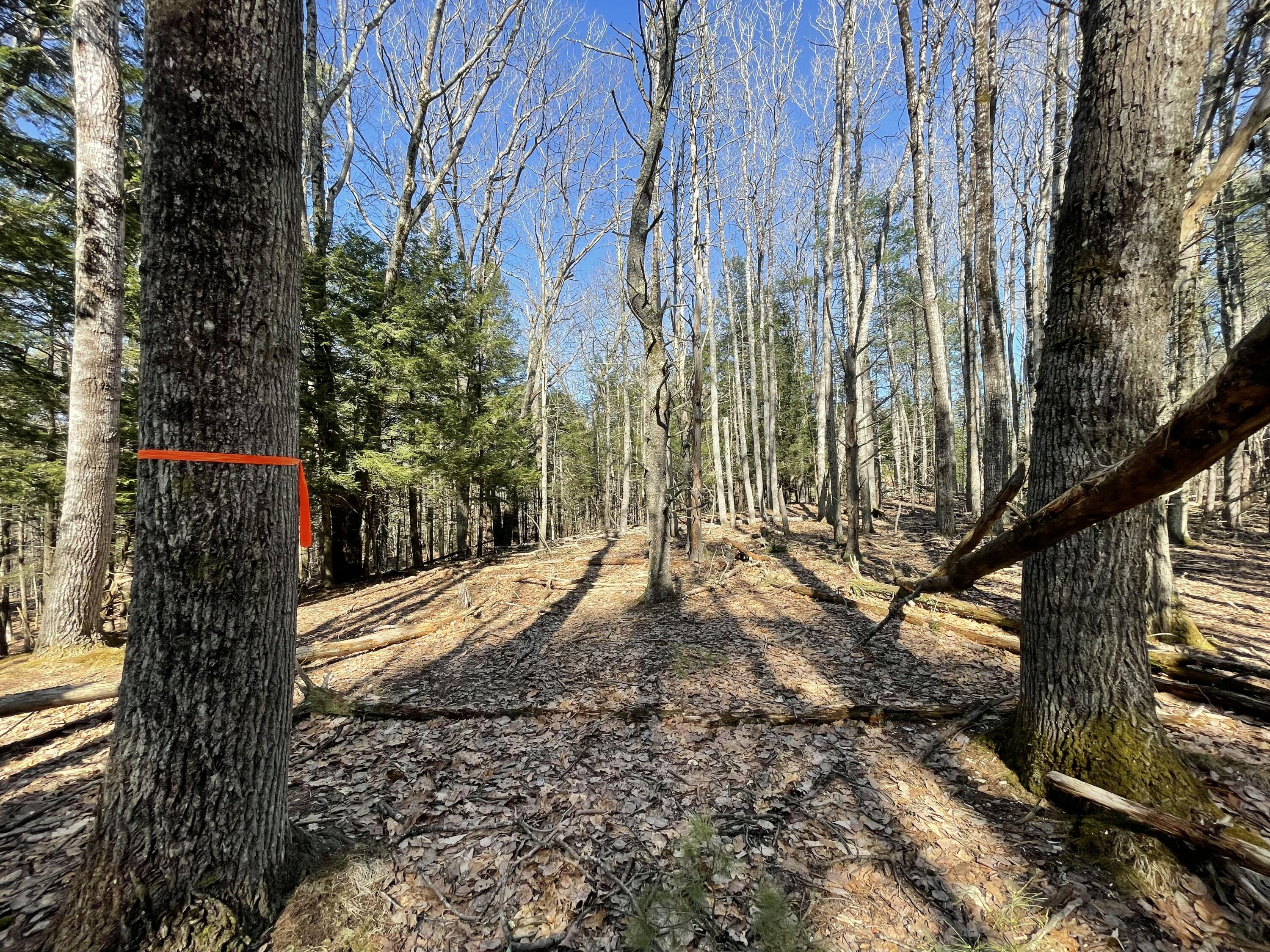 163a Highland Cliff Road Property Photo 2