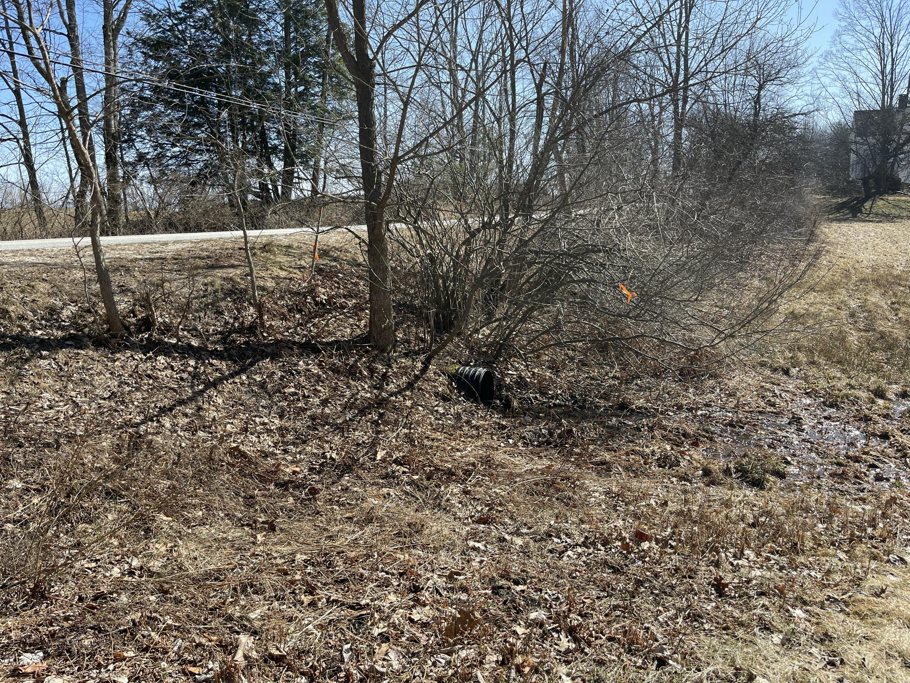 163a Highland Cliff Road Property Photo 4