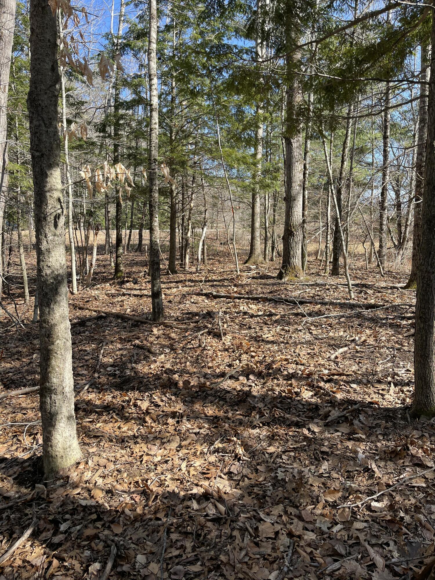 163a Highland Cliff Road Property Photo 5