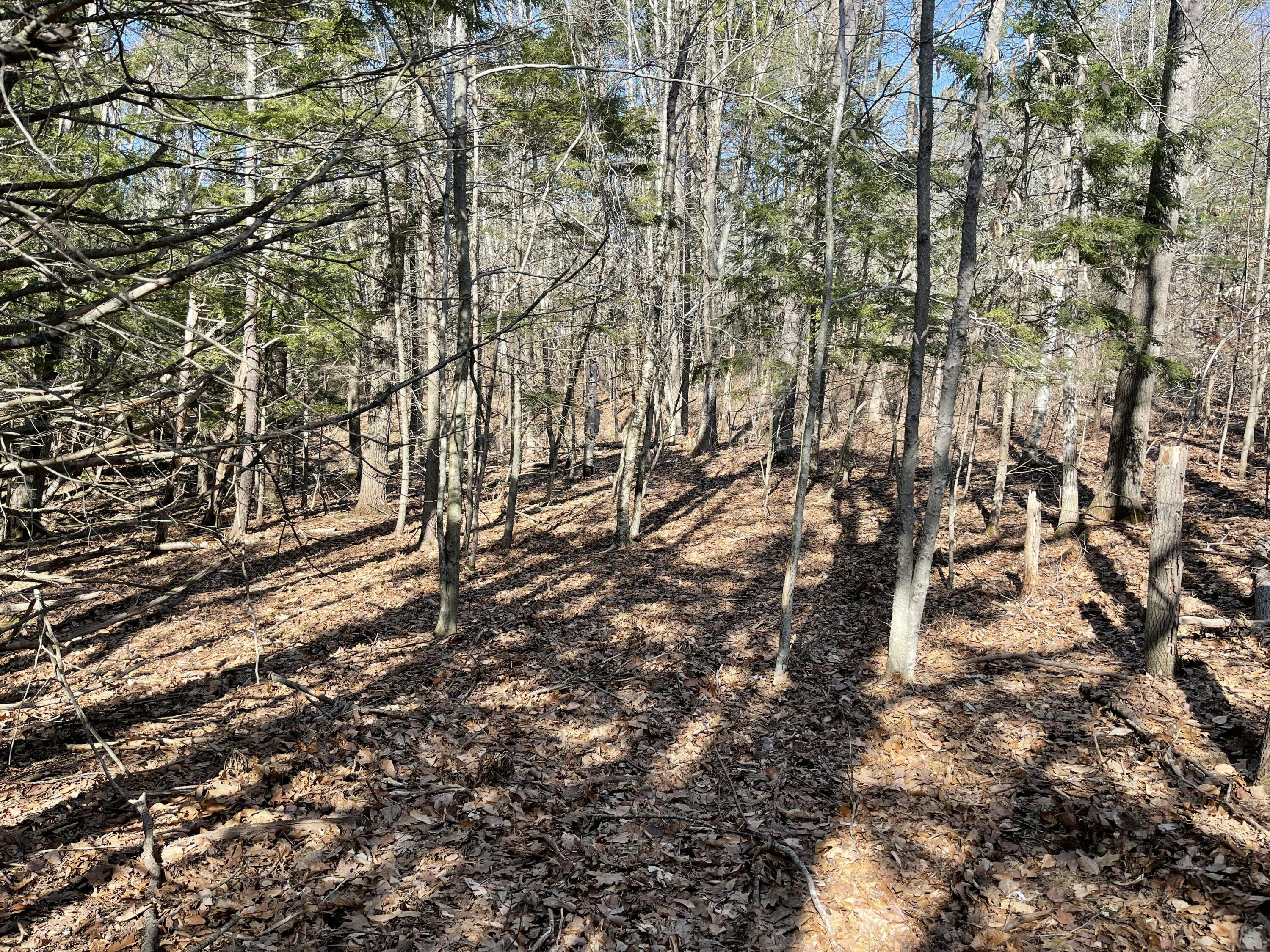 163a Highland Cliff Road Property Photo 6