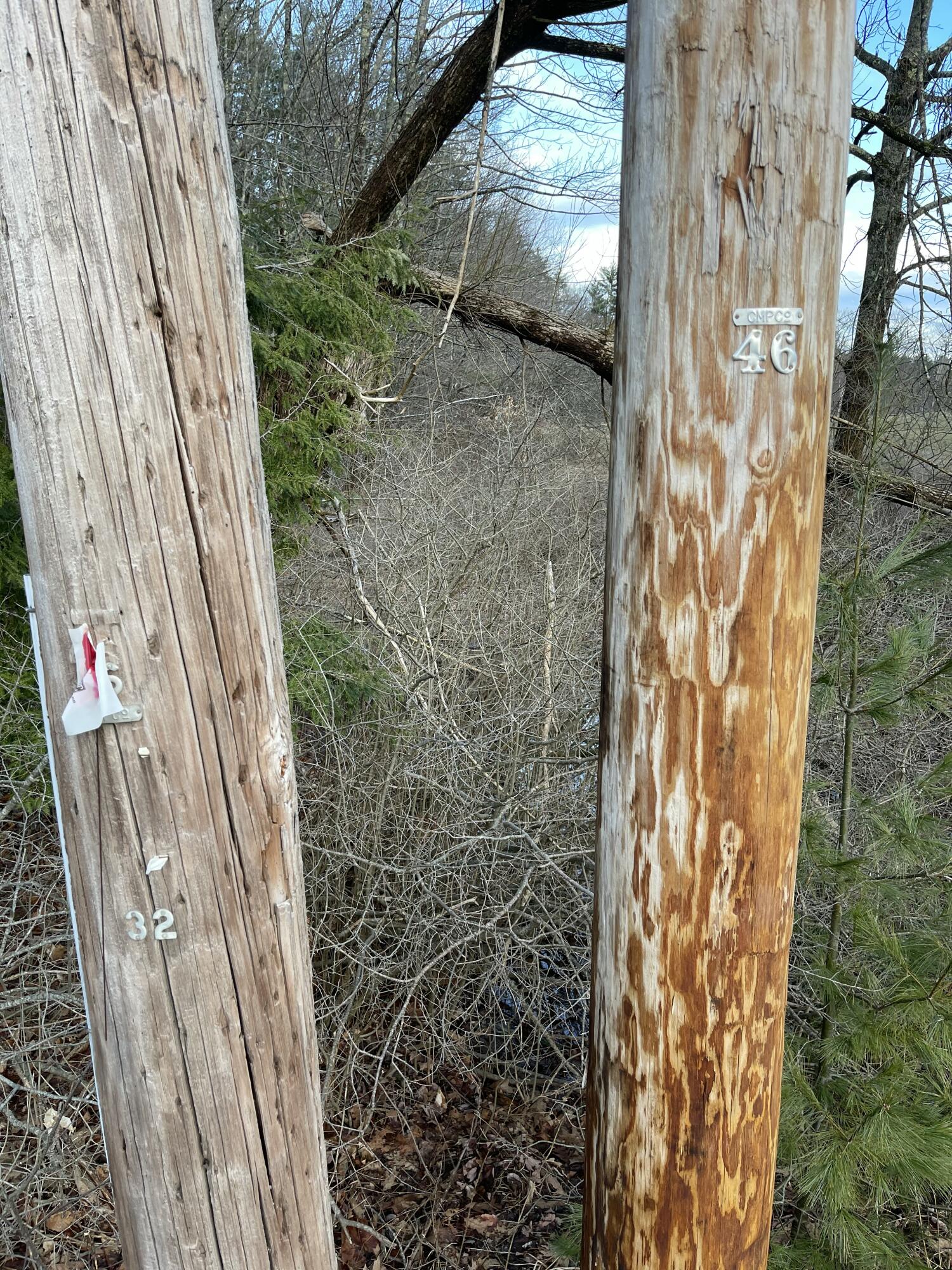 163a Highland Cliff Road Property Photo 19