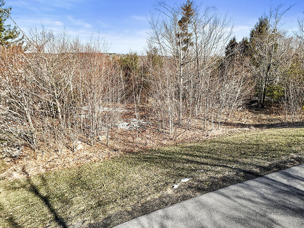 Lot 4 Overlook Drive Property Photo 9