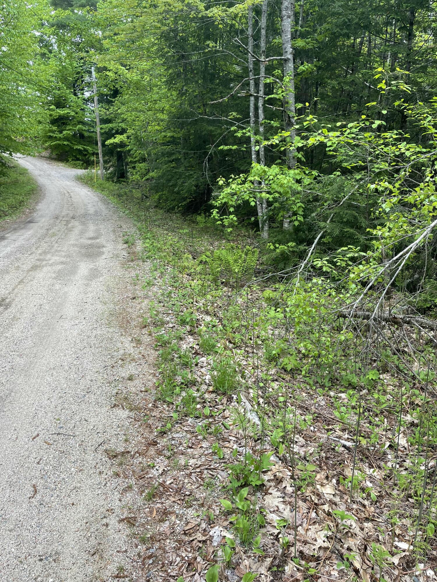 Lot 1 Log Yard Way Property Photo 4