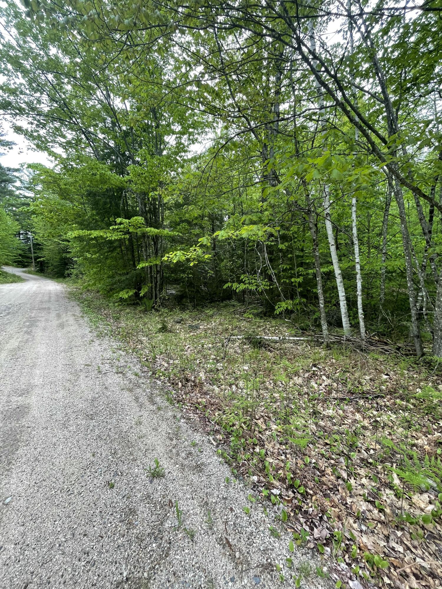 Lot 1 Log Yard Way Property Photo 5