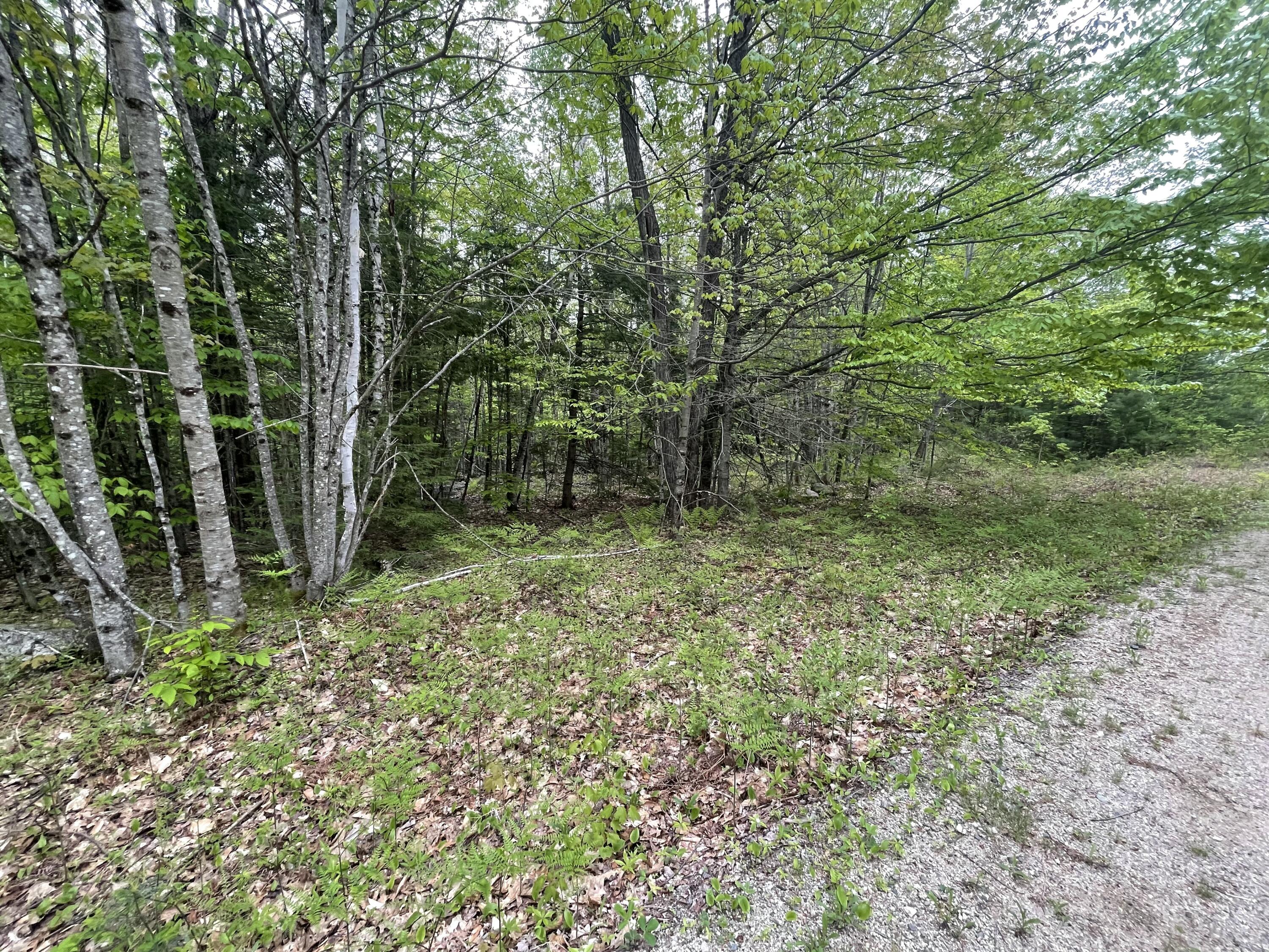 Lot 1 Log Yard Way Property Photo 6