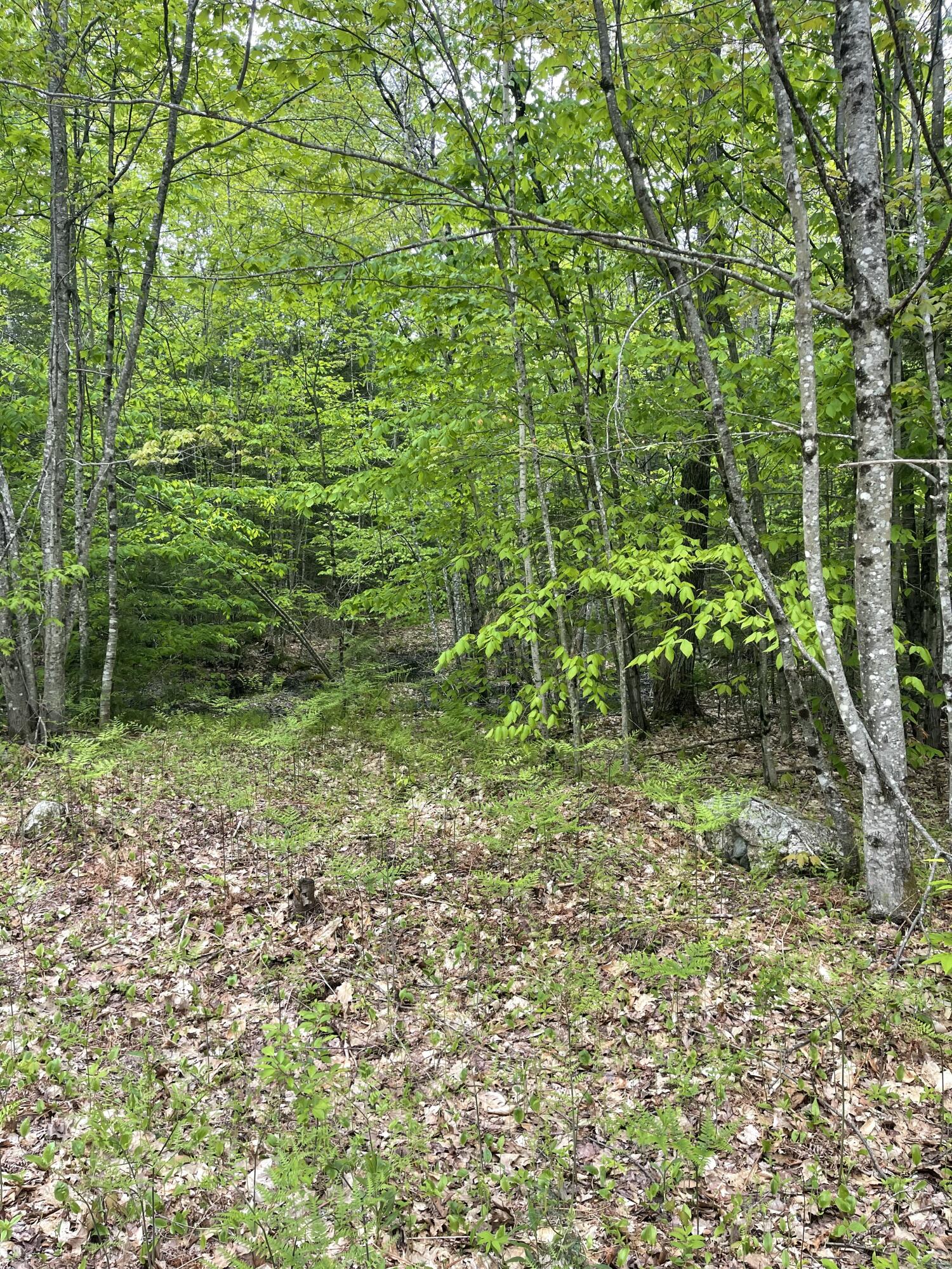 Lot 1 Log Yard Way Property Photo 7