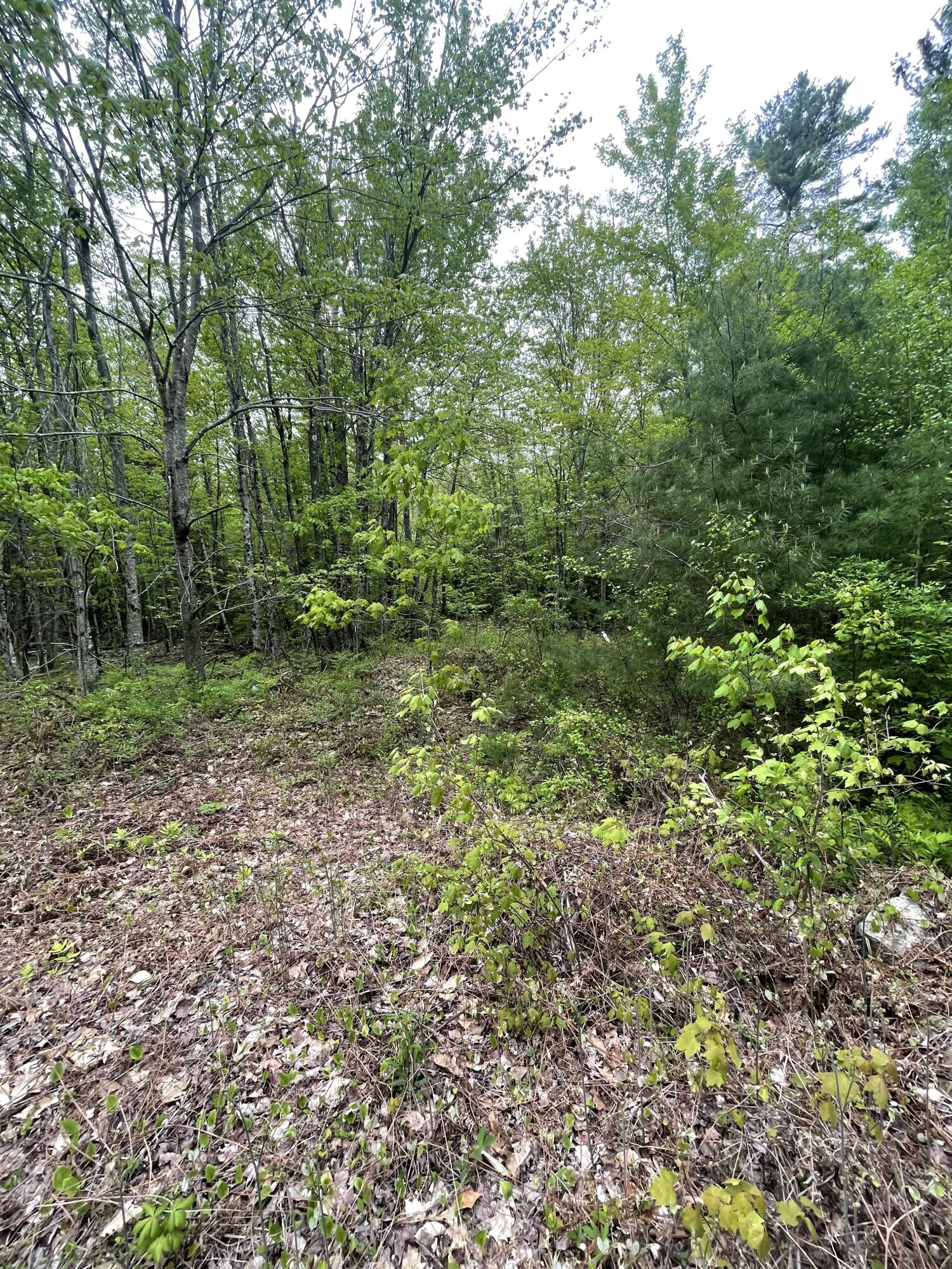 Lot 1 Log Yard Way Property Photo 8