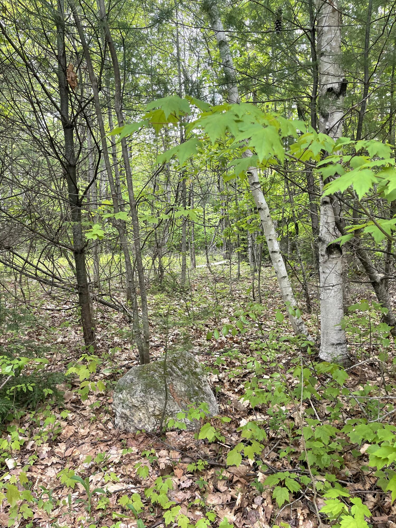 Lot 1 Log Yard Way Property Photo 9