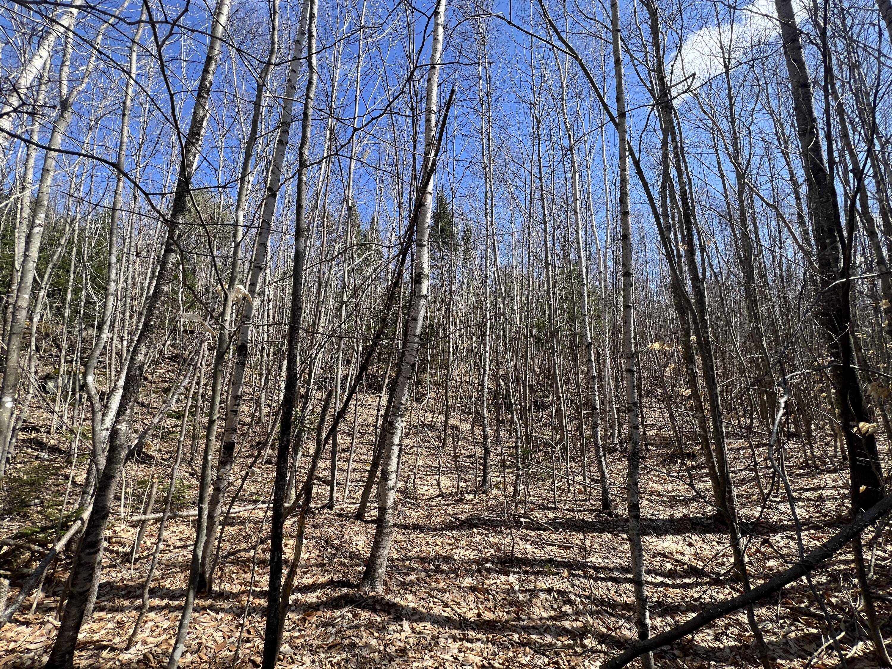 025-026 Between Goodrich N Mahoney Hil Property Photo 11