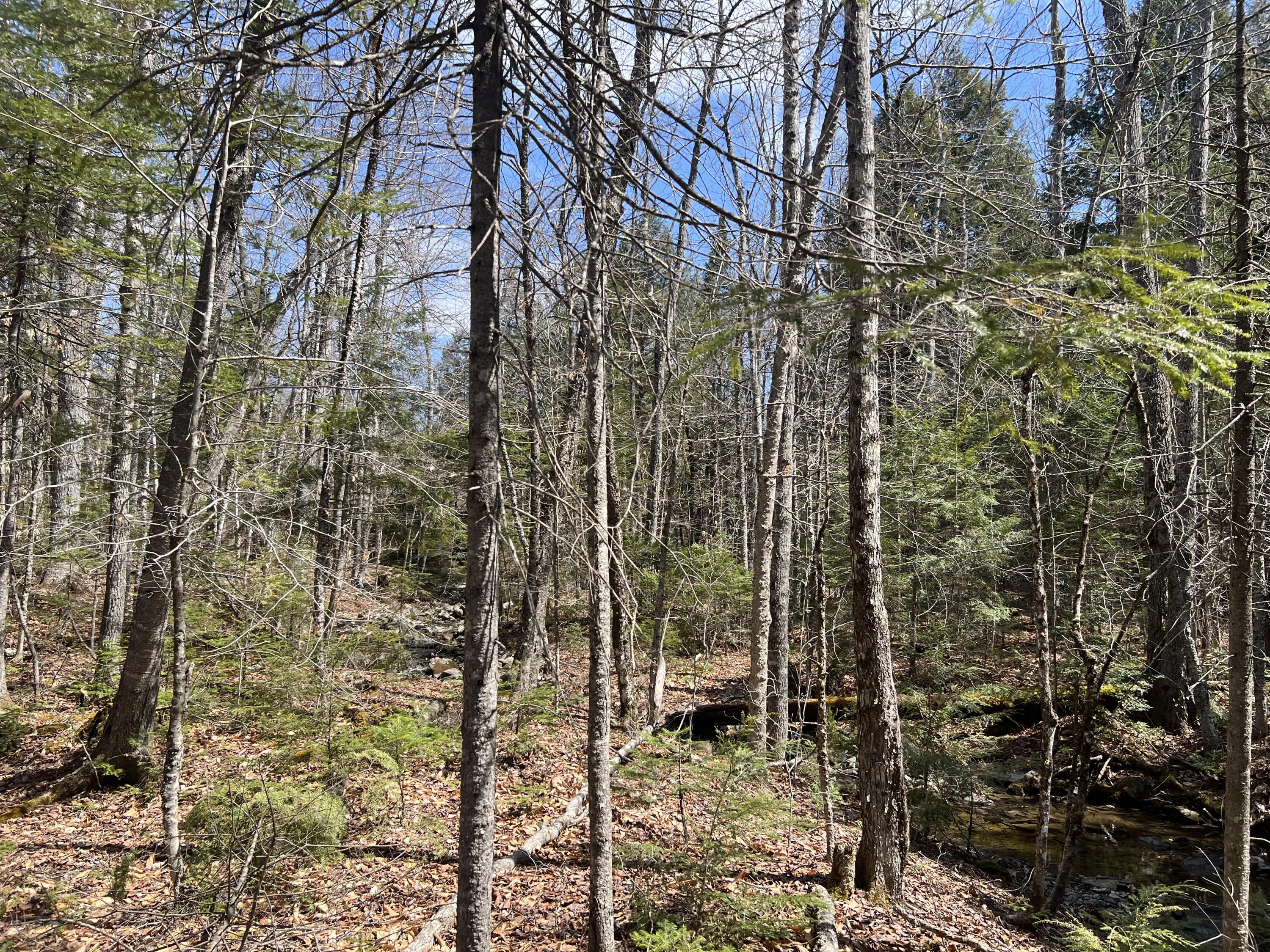025-026 Between Goodrich N Mahoney Hil Property Photo 16