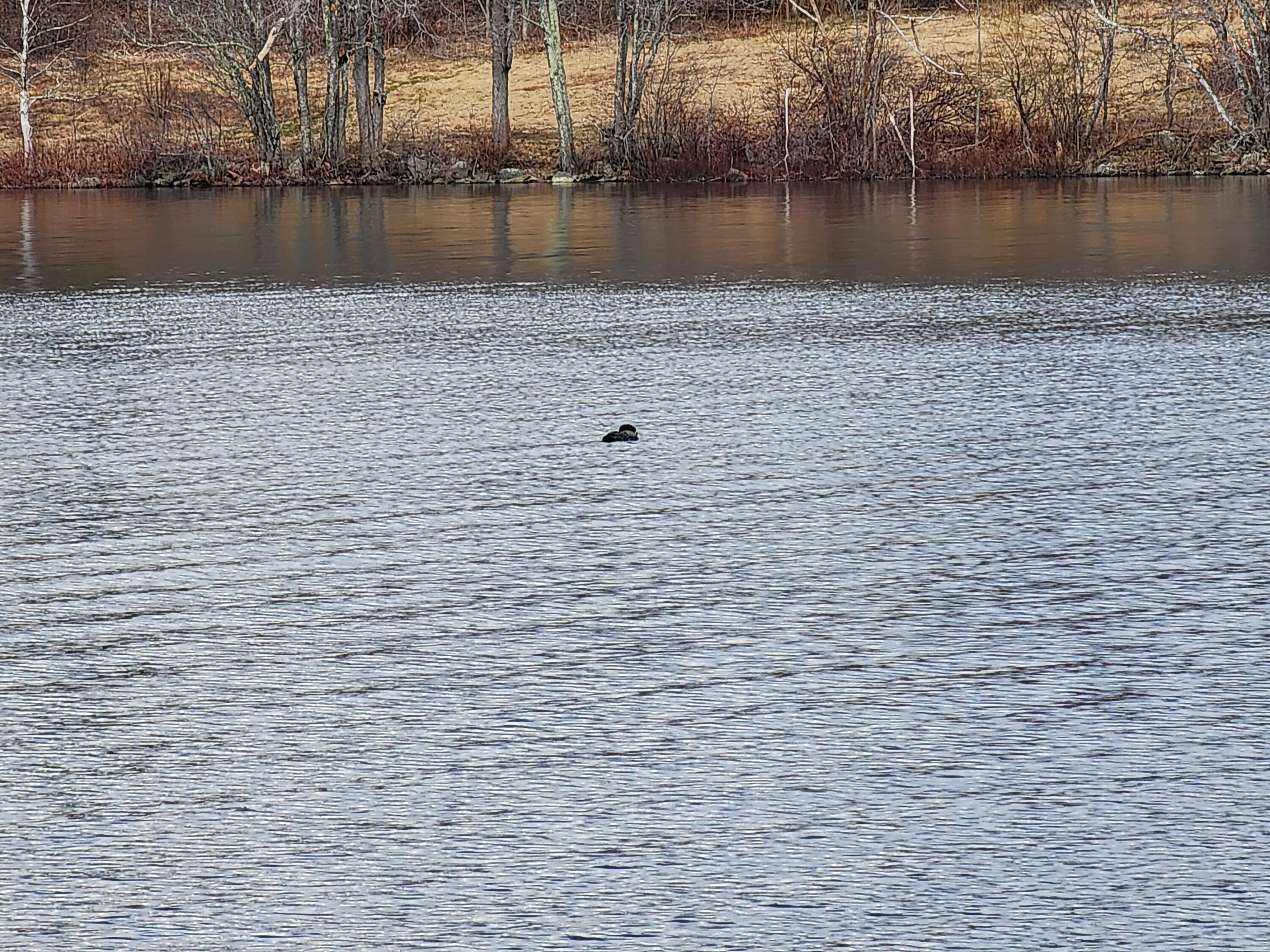 6 Goose River Estates Property Photo 8