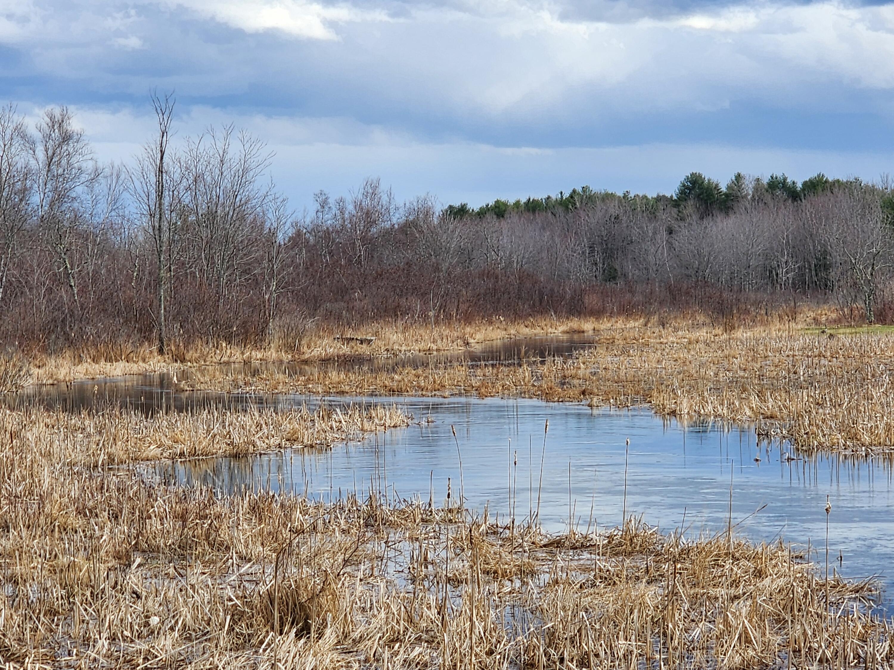 2 Goose River Estates Property Photo 1