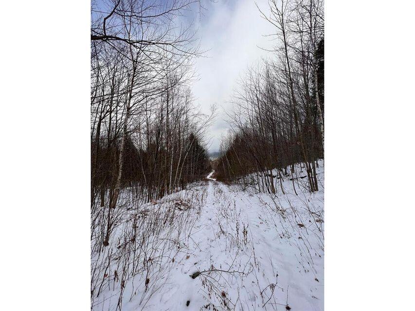 Lot 17 S Rumford Road Property Photo 4