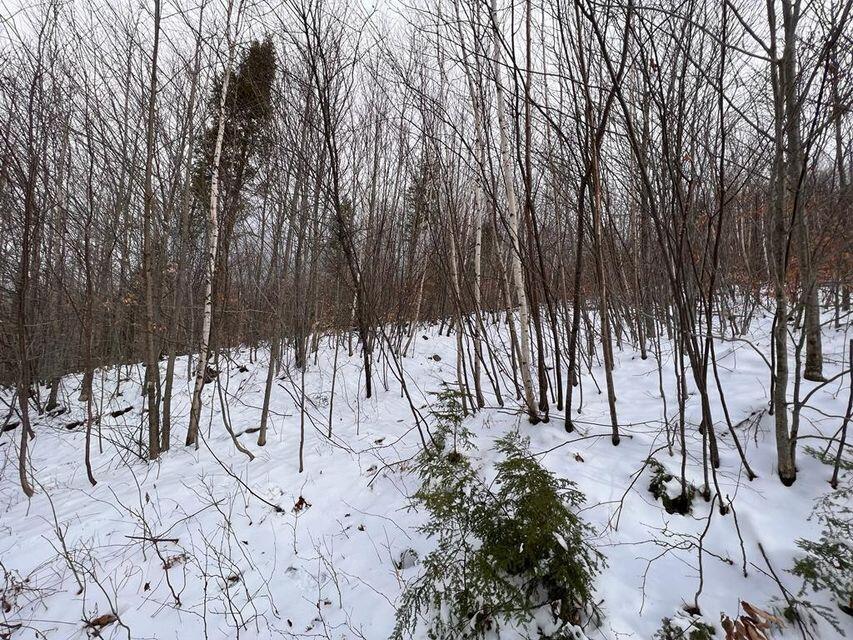 Lot 17 S Rumford Road Property Photo 6