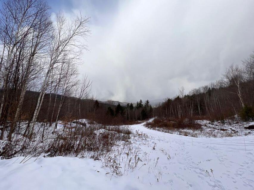 Lot 17 S Rumford Road Property Photo 9