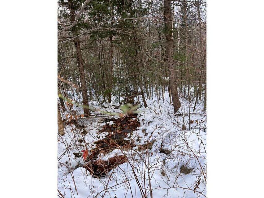 Lot 17 S Rumford Road Property Photo 10