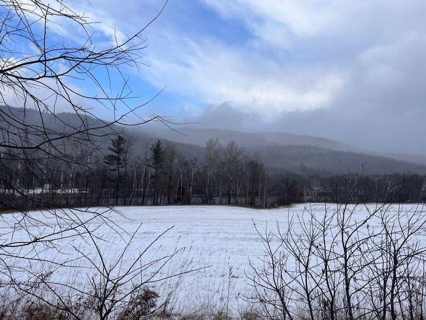 Lot 17 S Rumford Road Property Photo 18
