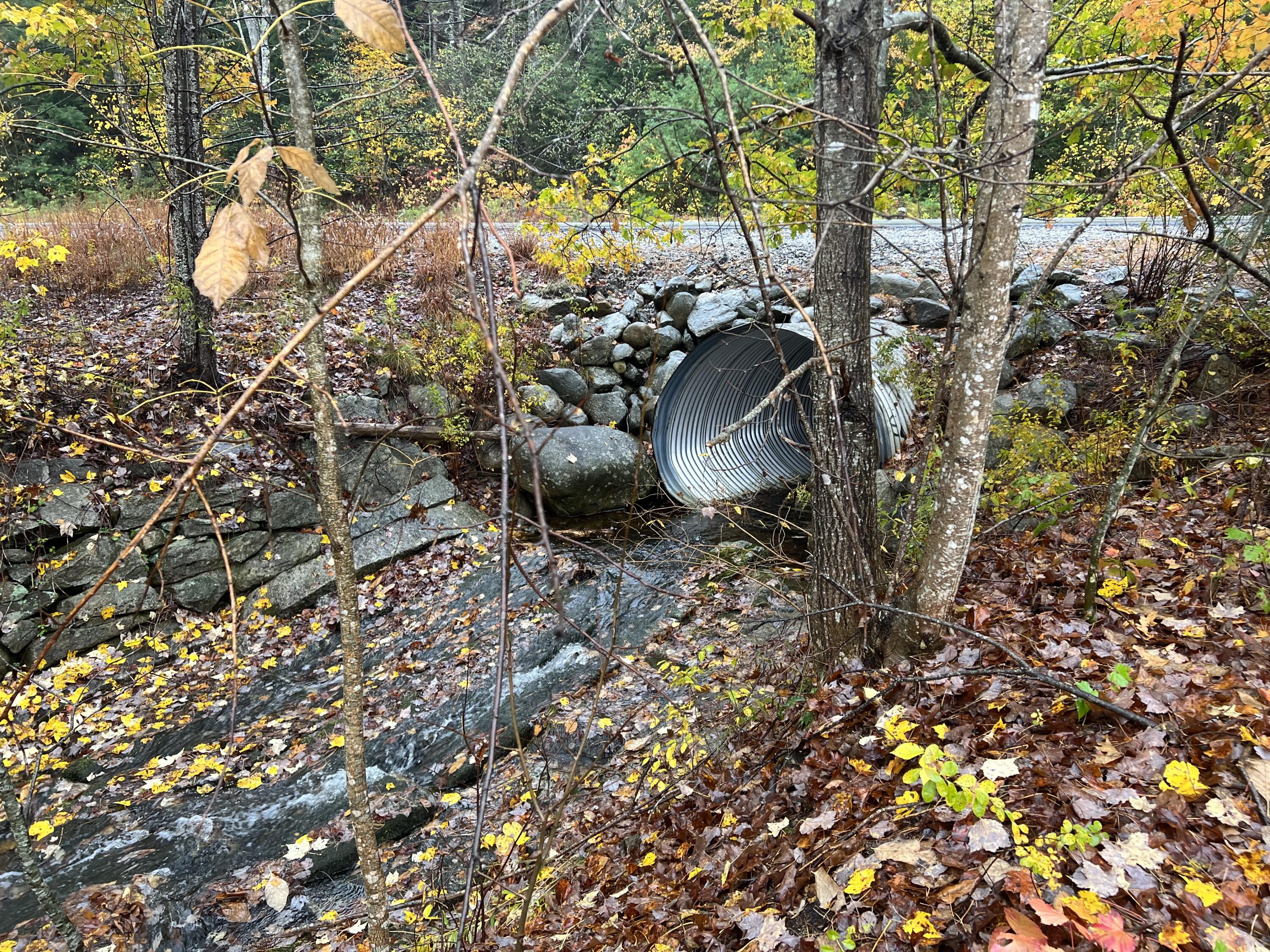 Lot 2 Norway Road Property Photo 10