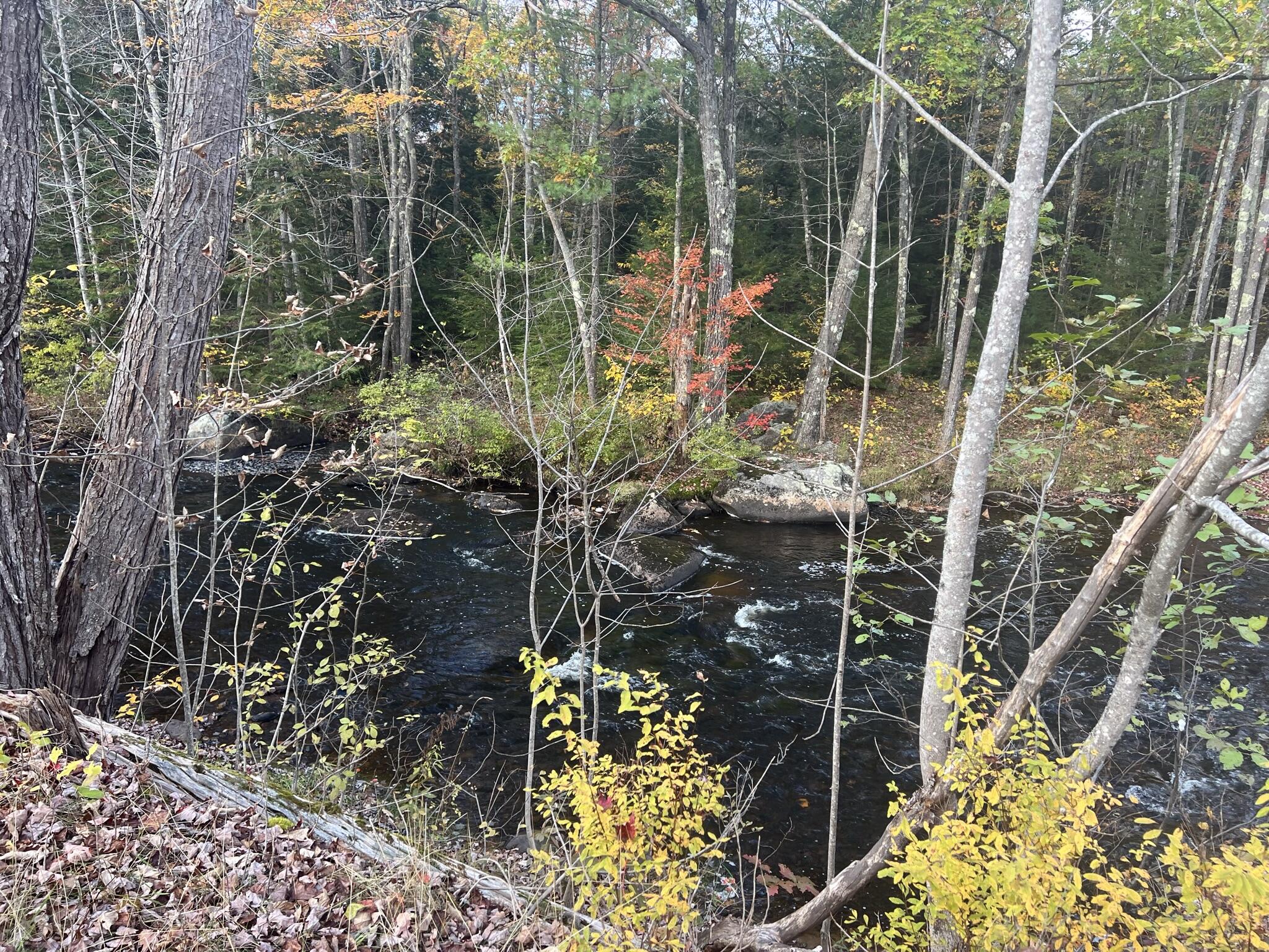Lot 2 Norway Road Property Photo 14