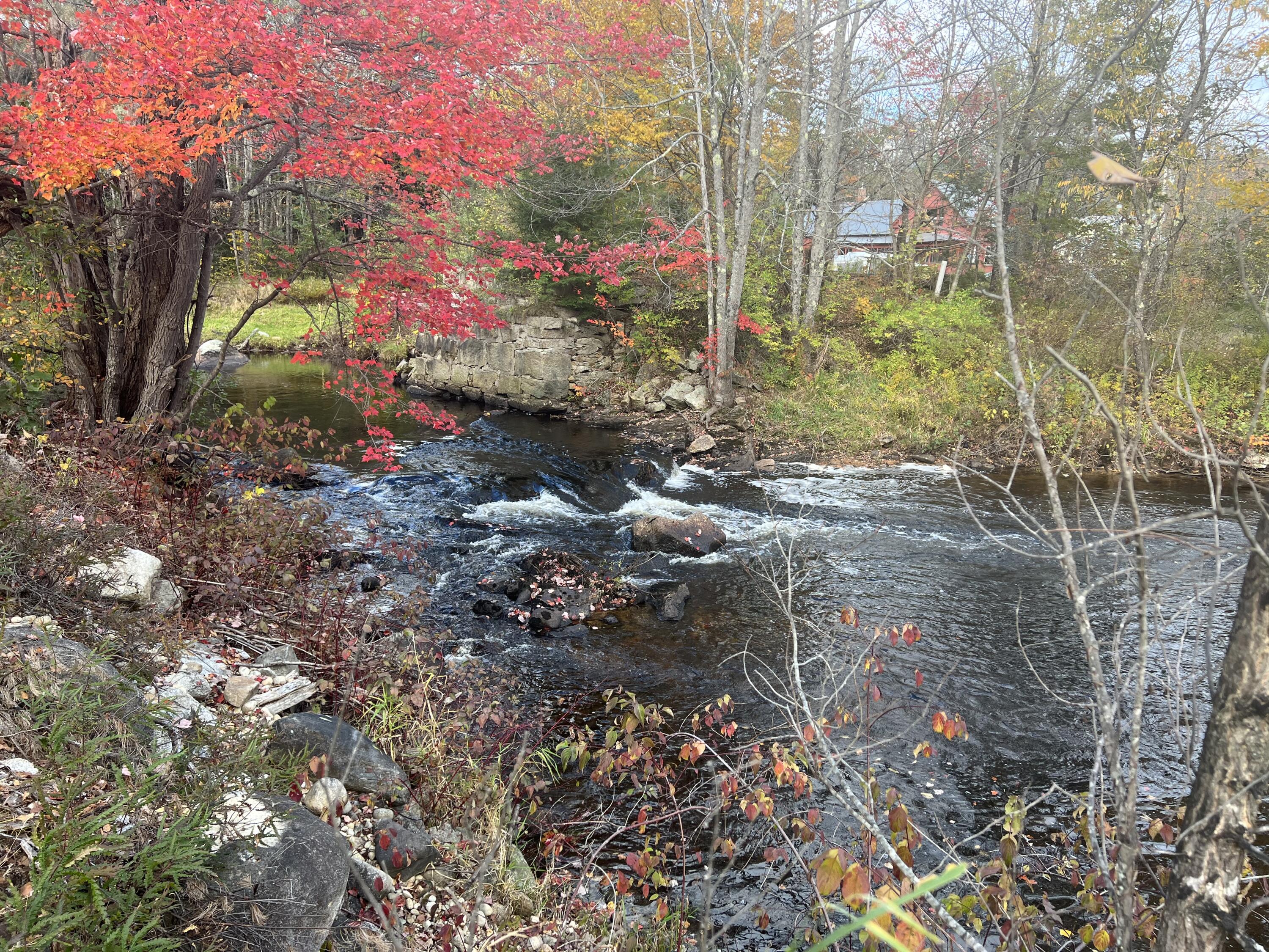 Lot 2 Norway Road Property Photo 15