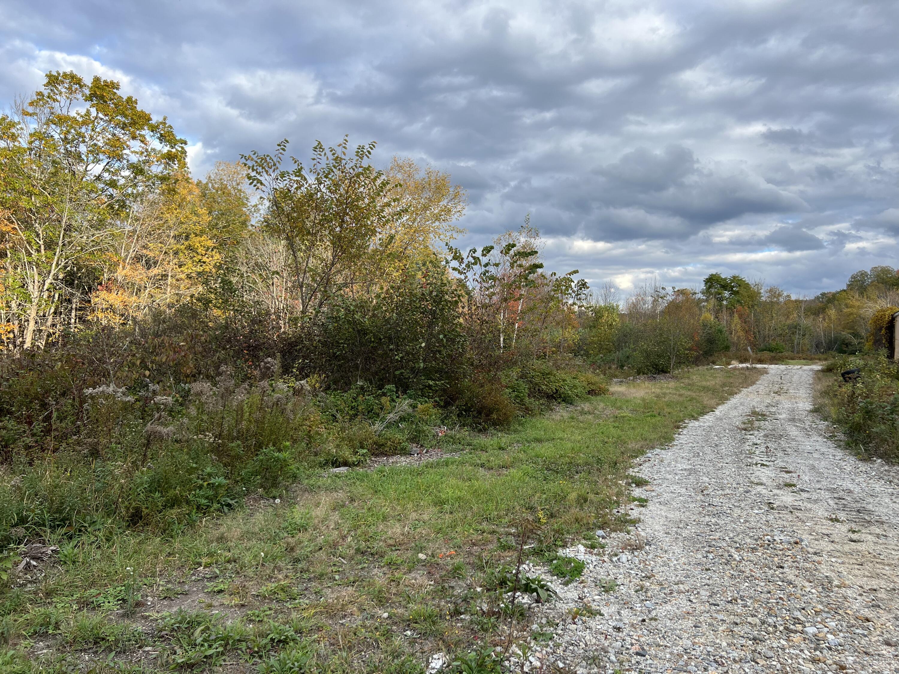 Lot 2 Norway Road Property Photo 18