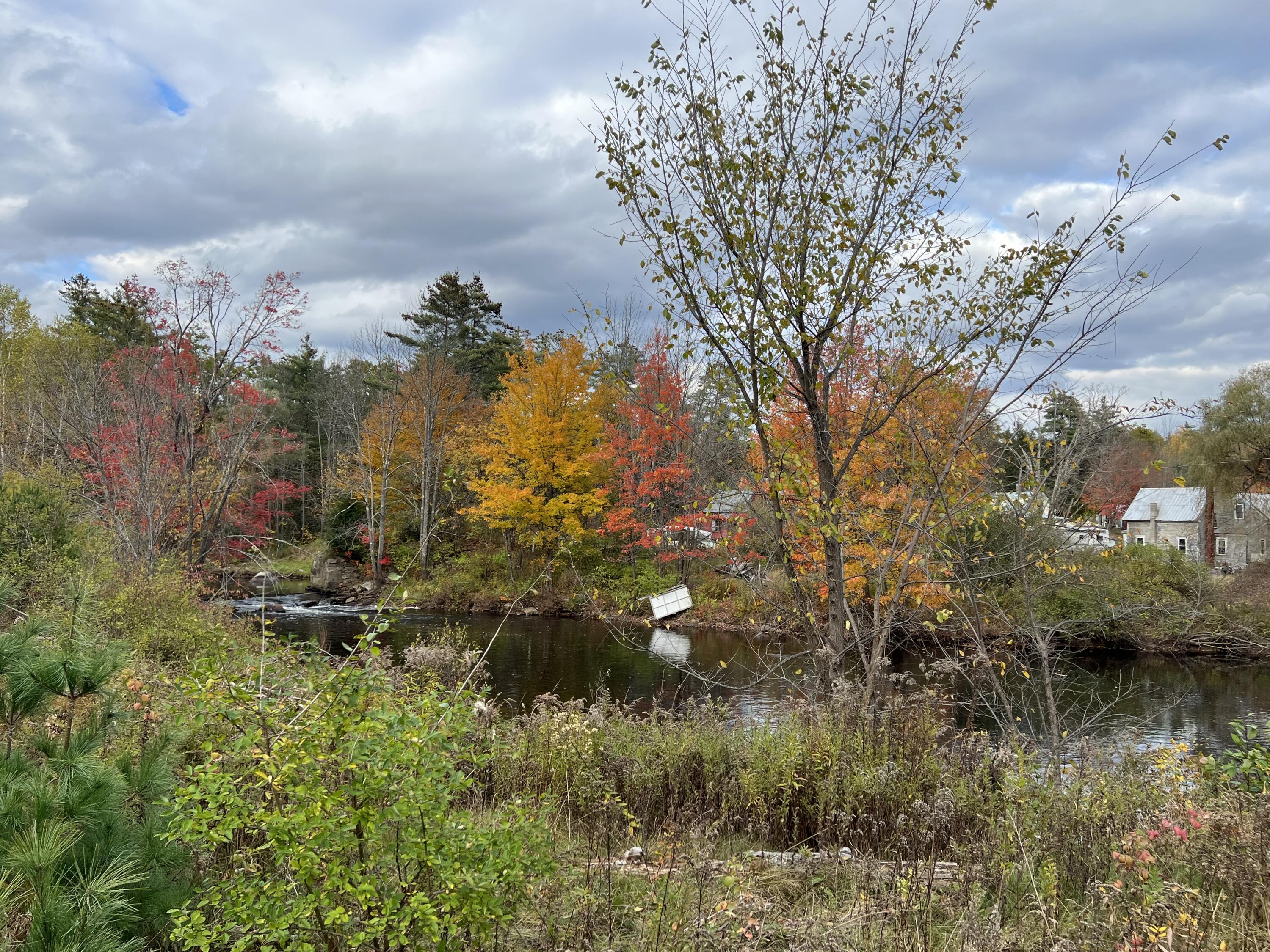 Lot 2 Norway Road Property Photo 19