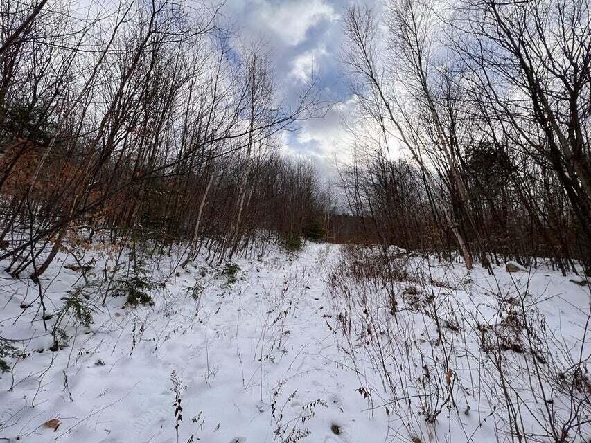 Lot 1 S Rumford Road Property Photo 1