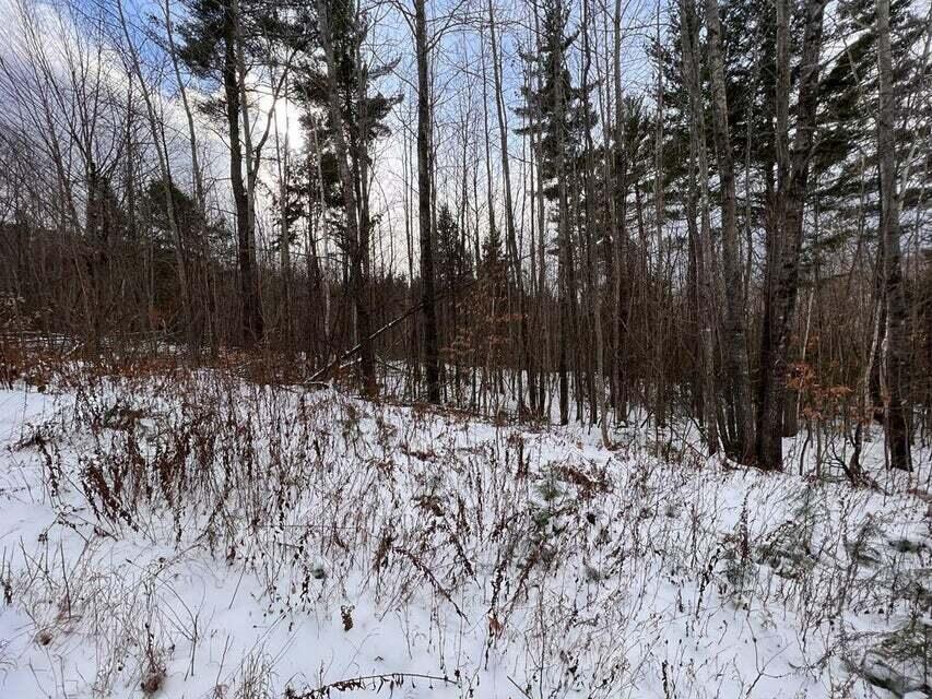 Lot 1 S Rumford Road Property Photo 4