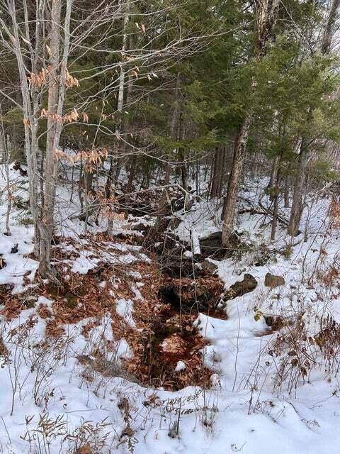 Lot 1 S Rumford Road Property Photo 5