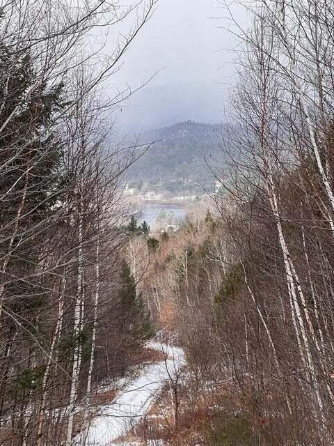 Lot 1 S Rumford Road Property Photo 8