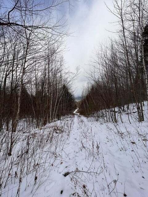 Lot 1 S Rumford Road Property Photo 9