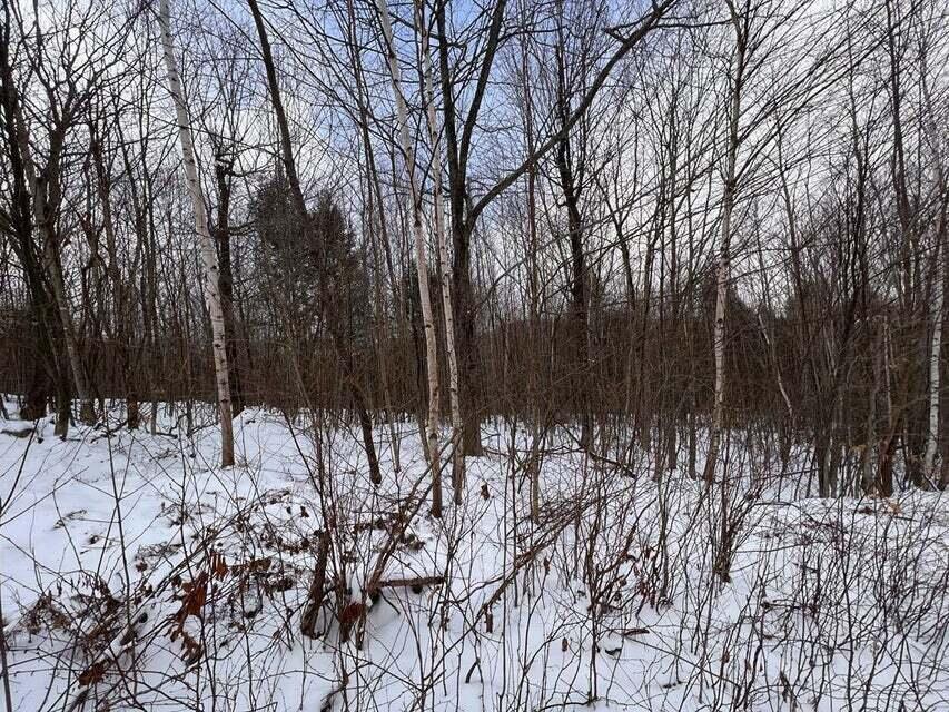 Lot 1 S Rumford Road Property Photo 10