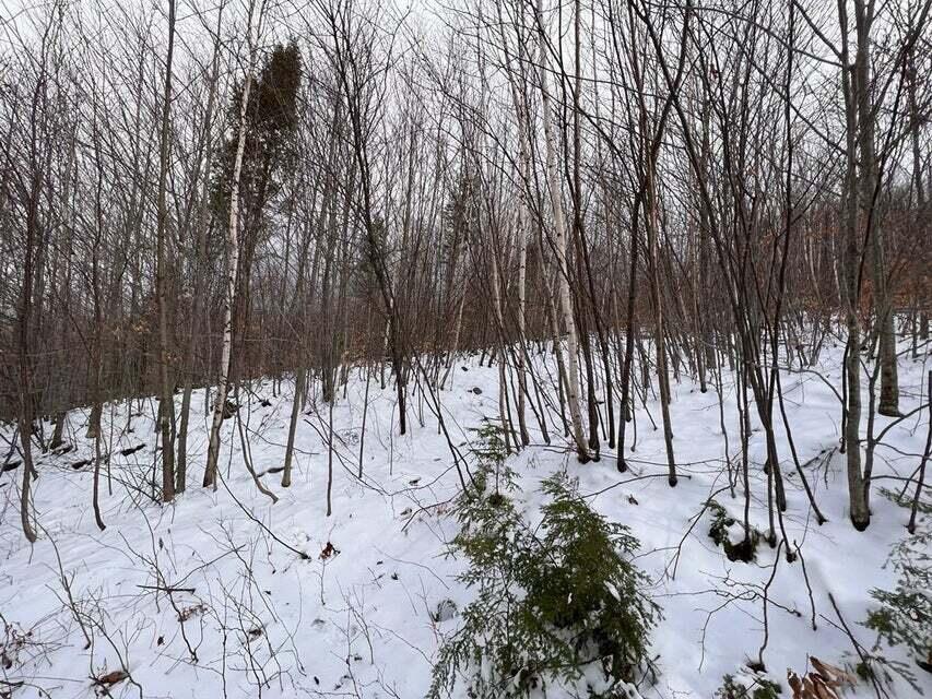 Lot 1 S Rumford Road Property Photo 11