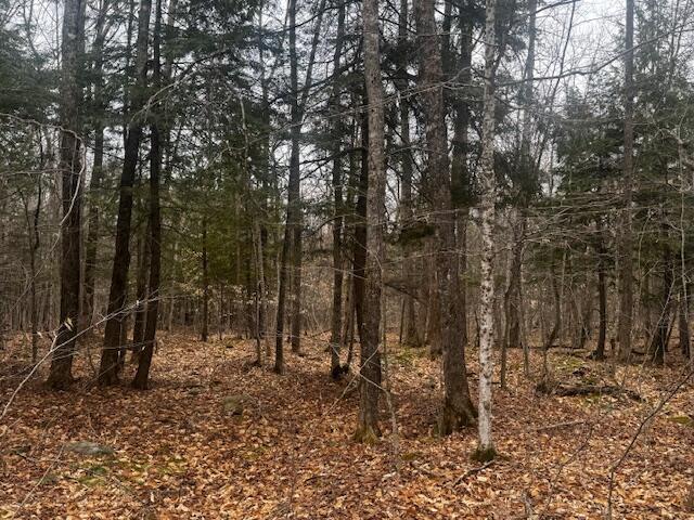 701 Malbons Mills Road Property Photo 7
