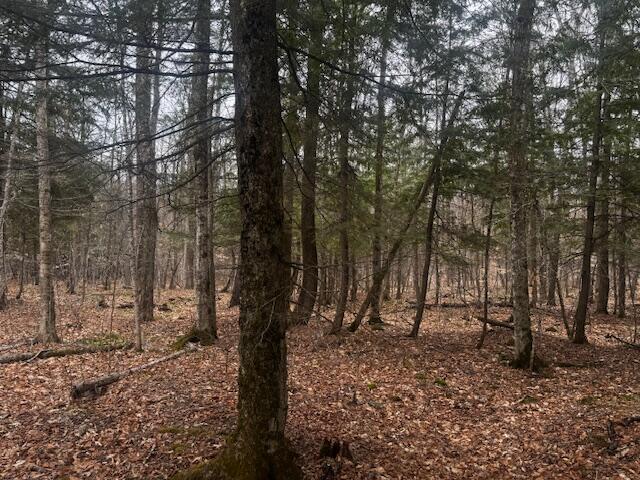 701 Malbons Mills Road Property Photo 8