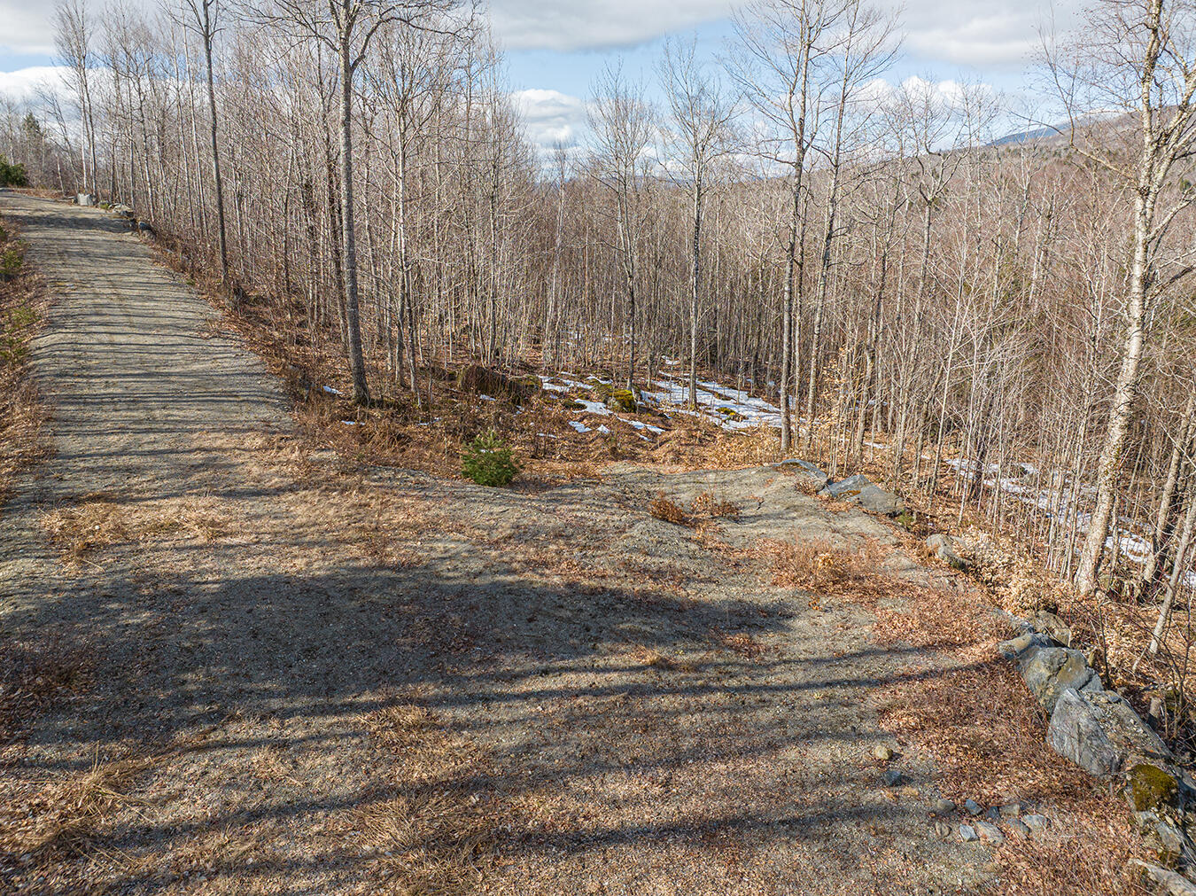 Lot 2-1 Lower Vose Road Property Photo 9
