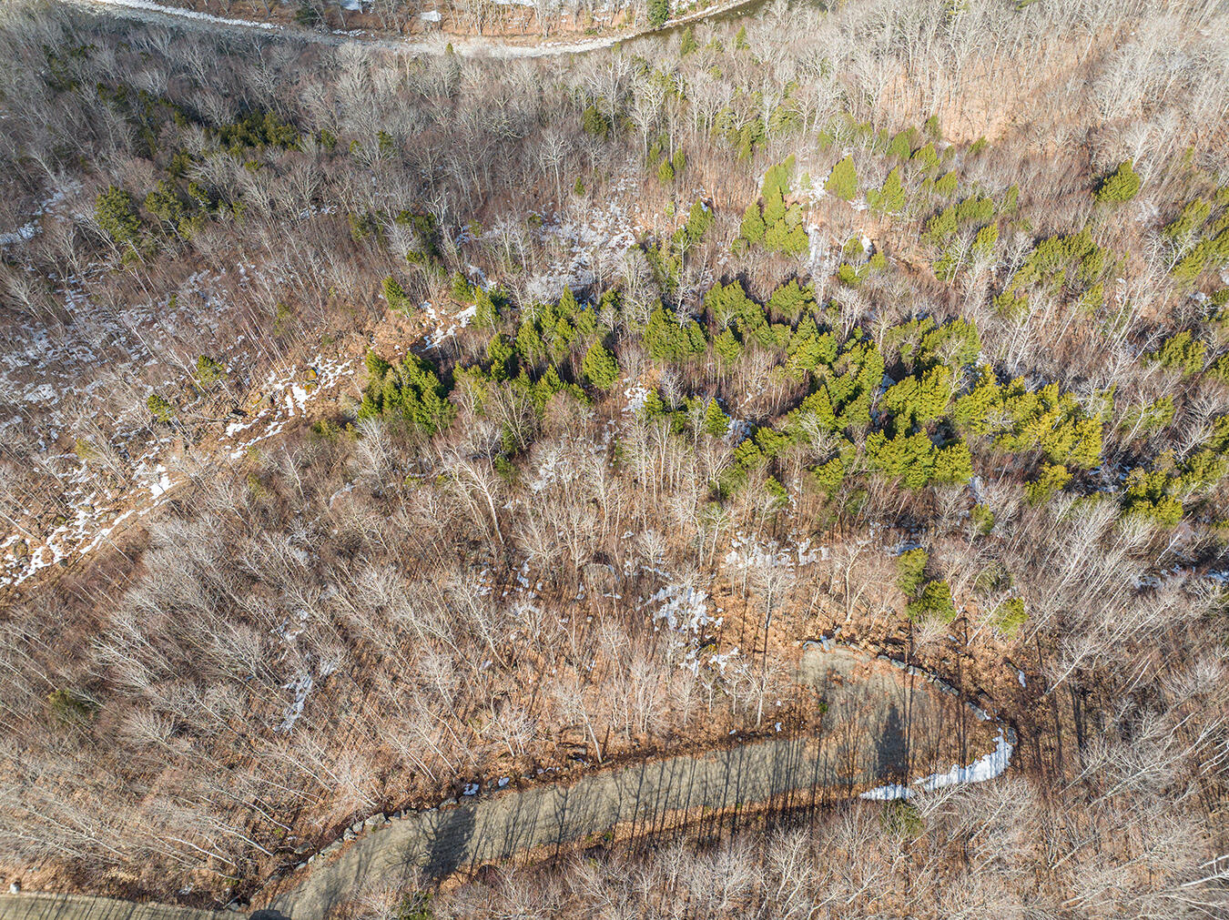 Lot 2-1 Lower Vose Road Property Photo 12