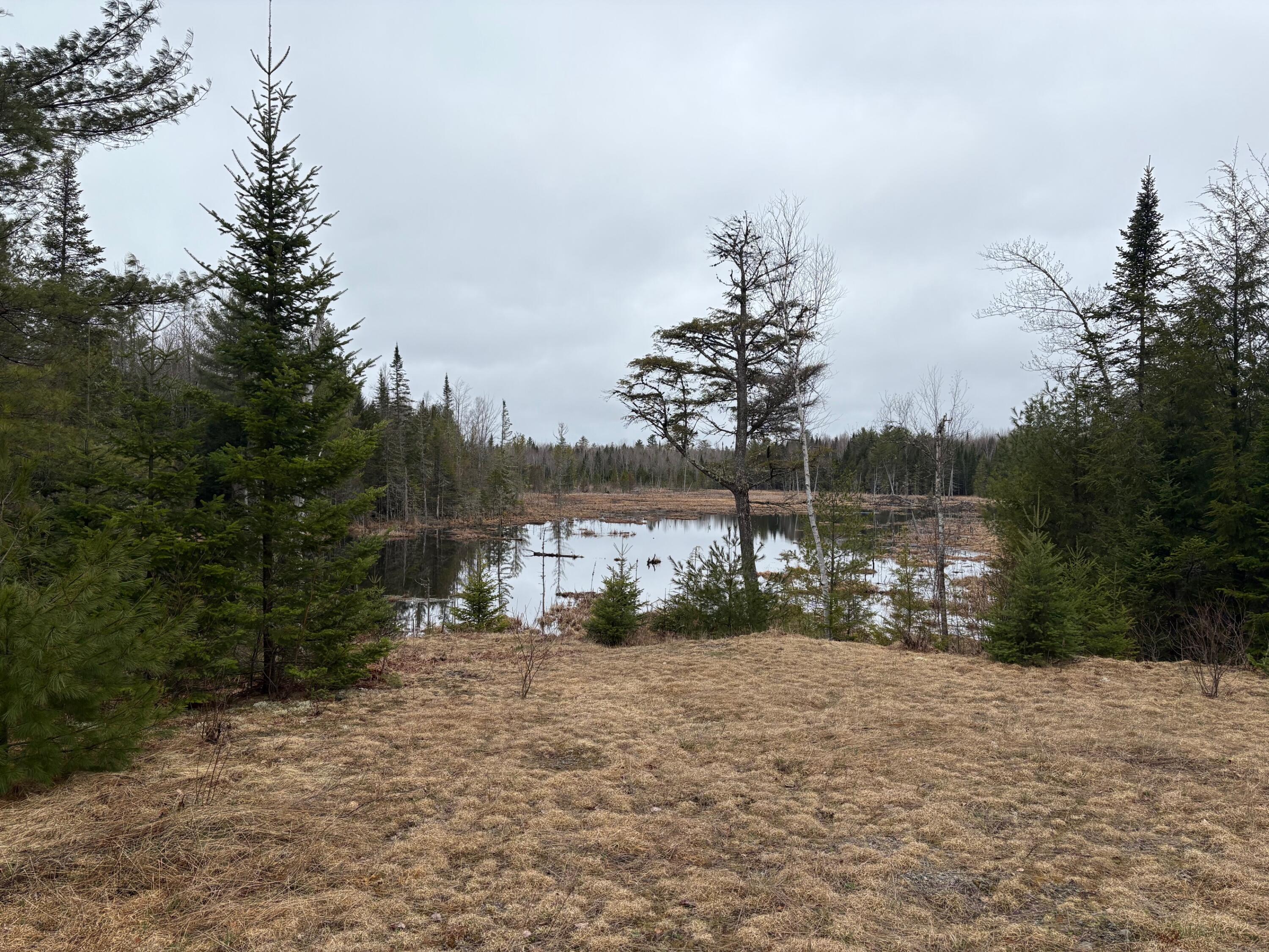 1482 Mattamiscontis Road Property Photo 7