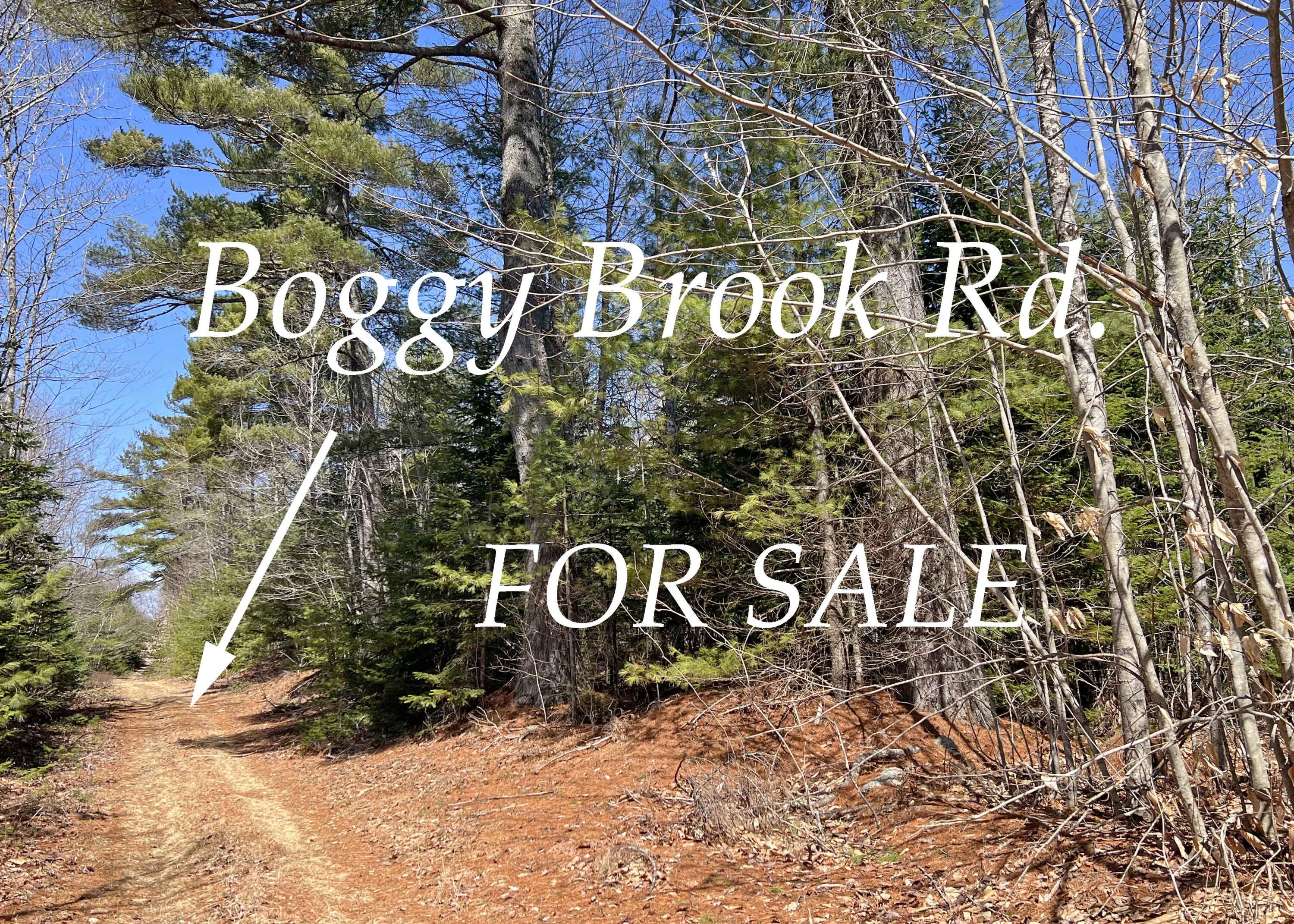 0 Boggy Brook Road Property Photo 1