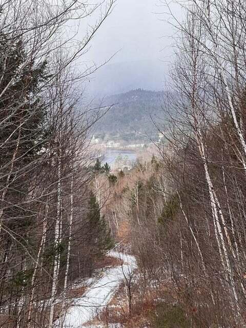 Lot 2 S Rumford Road Property Photo 2