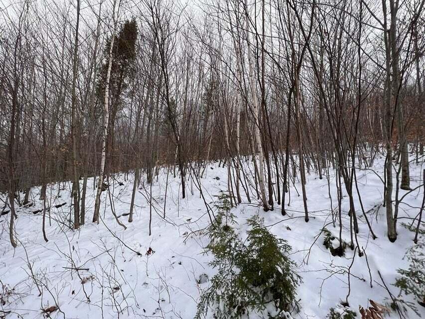 Lot 2 S Rumford Road Property Photo 5