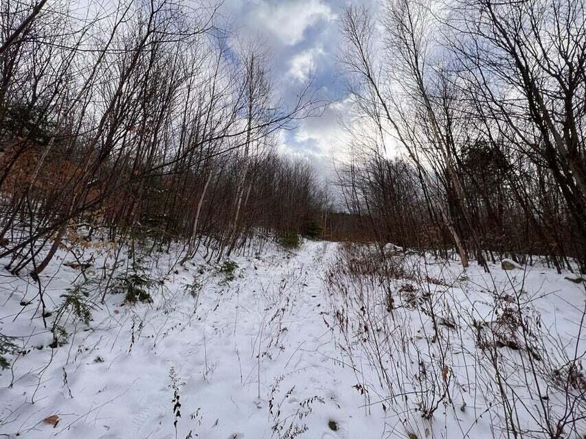 Lot 2 S Rumford Road Property Photo 6
